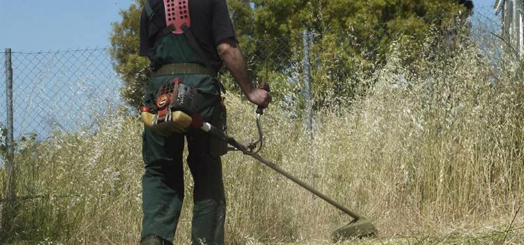 Αποψίλωση και καθαρισμός οικοπέδων στο Δήμο Π. Φαλήρου Αποψίλωση και καθαρισμός οικοπέδων στο Δήμο Π. Φαλήρου